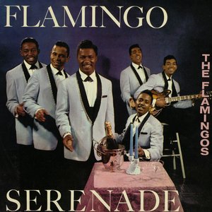 “Flamingo Serenade”的封面