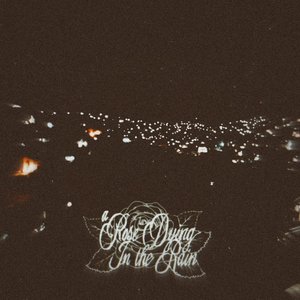 Through the Infinity of Her Eyes - Single