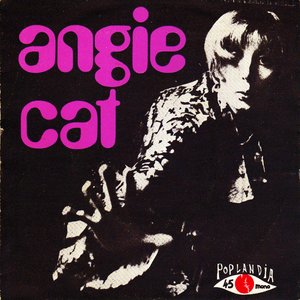 ANGIE CAT 的头像