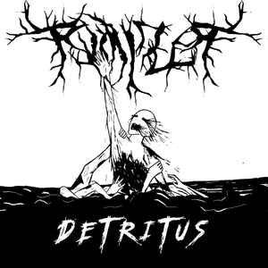 Detritus