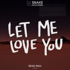 Let Me Love You (Sean Paul remix)