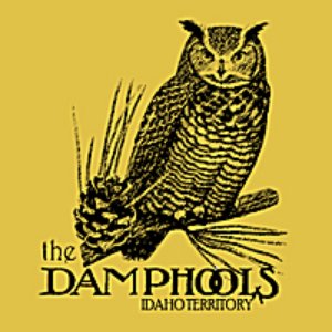 The Damphools 的头像