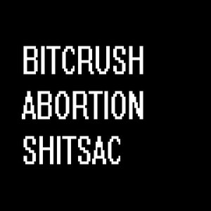 “Bitcrush Abortion Shitsac”的封面