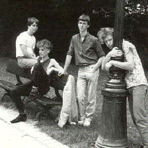 Red Zebra photo provided by Last.fm