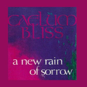 A New Rain Of Sorrow