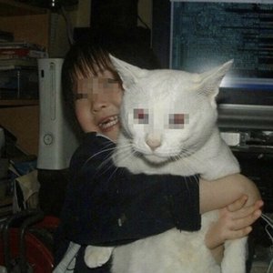 momjeanes 的头像