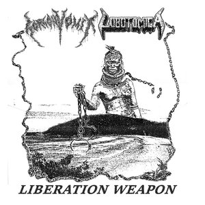 Liberation Weapon - EP