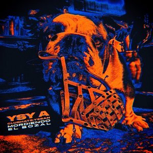Ysy A, Club Hats y YESAN 的头像