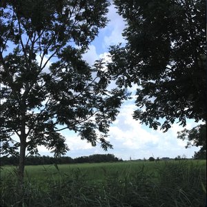 Schönes_Wetter - Single
