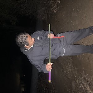 Avatar for Guwap Franklin