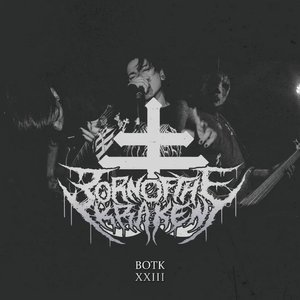 Born Of The Kraken 的头像