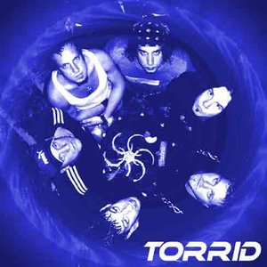 Torrid 的头像