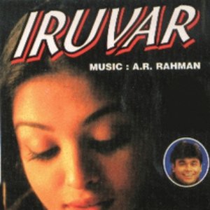 Iruvar 的头像