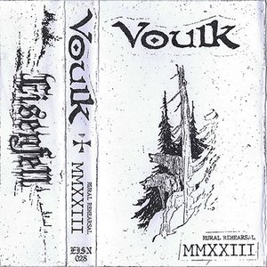 Voulk 的头像