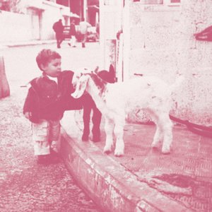 From Gaza, With Love