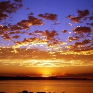 Rising Dawn 的头像