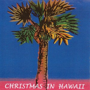 Christmas In Hawaii