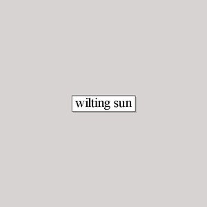 Wilting Sun 的头像