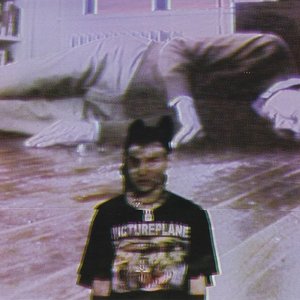 Mr.Kitty - Insects Lyrics - Zortam Music