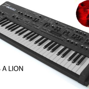 it's a lion 的头像