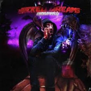 Wicked Dreams