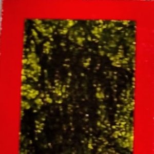 Putrid HD