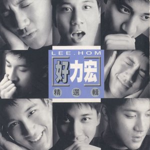 好力宏精選輯 (Good Leehom)