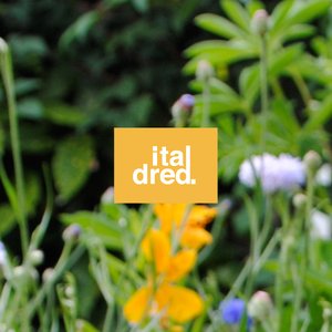 Italdred Records 的头像