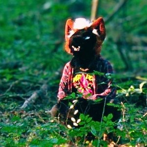 Dima Foxpaws 的头像