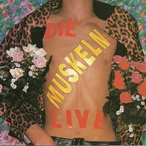 Die Muskeln Live