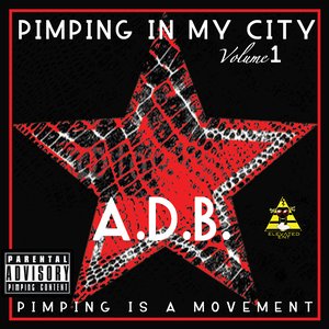 “Pimping in my City vol.1(Pimping is a Movement.) (11/12/2011 6:40:46 PM)”的封面