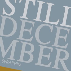 Still December (Demo 2007)