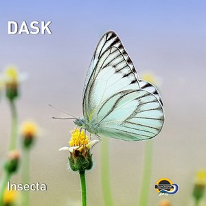 Insecta