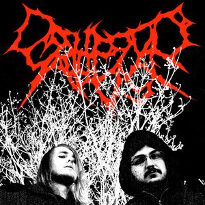 Avatar for Cryptic Abuse