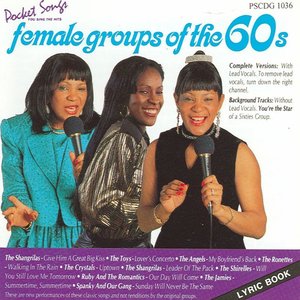 The Hits Of The Female Groups Of The 60's