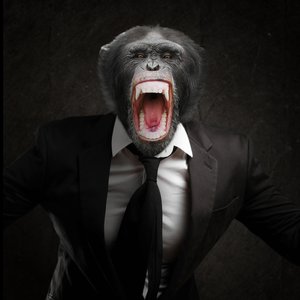 Avatar for Monkeyman