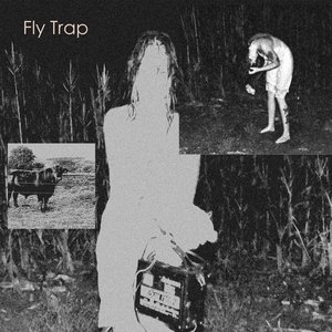 Fly Trap