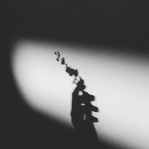 pieces of me