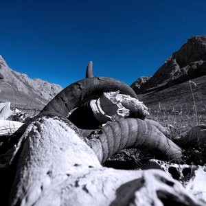 Buried In Obscurity