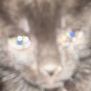 Детские игры - Single