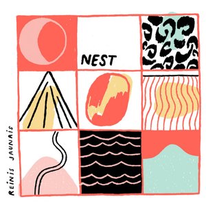 Nest