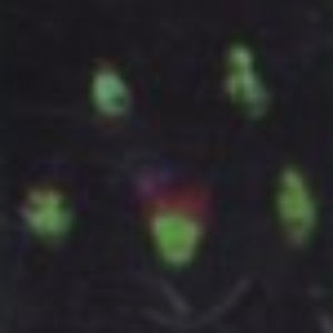 Avatar for Silu:Et