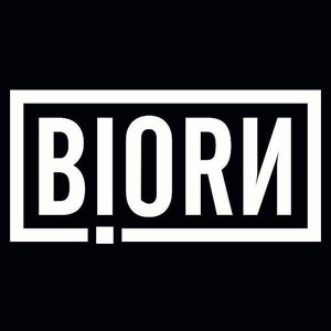 Biorn 的头像