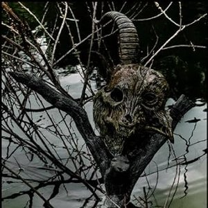 The Gazette Tour 13-14 ［Magnificent Malformed Box］Final Coda Live At 01.11 Yokohama Arena