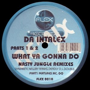 What Ya Gonna Do (Nasty Jungle Remixes)