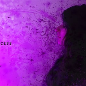 Image for 'DNAprocess'