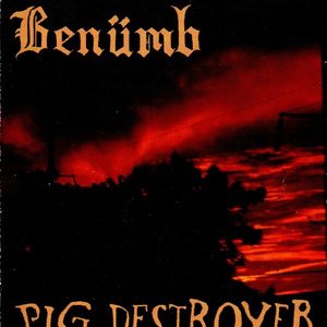 Benumb / Pig Destroyer