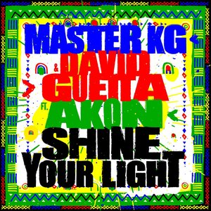 Shine Your Light (feat. Akon)