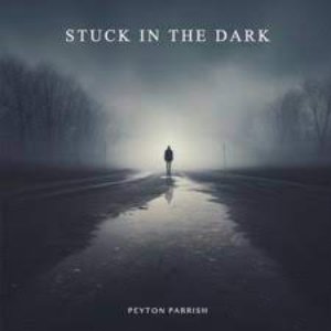 Stuck In the Dark - Single