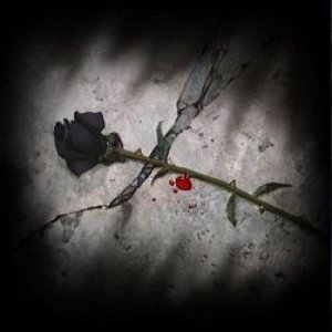 Untitled Album